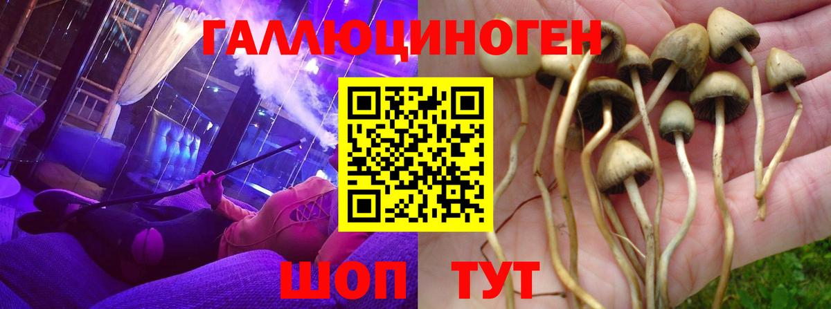 Галлюциногенные грибы Cubensis  Вход с VPN  Вязьма 